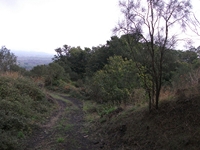 Monte Cagliato